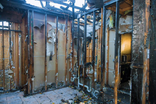 Professional Fire Damage Repair technician working in Genesee, ID